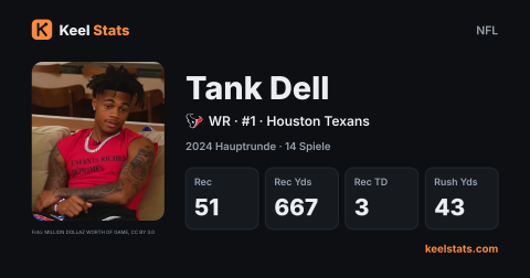 Keel-Stats-Spielerkarte: Tank Dell, Houston Texans